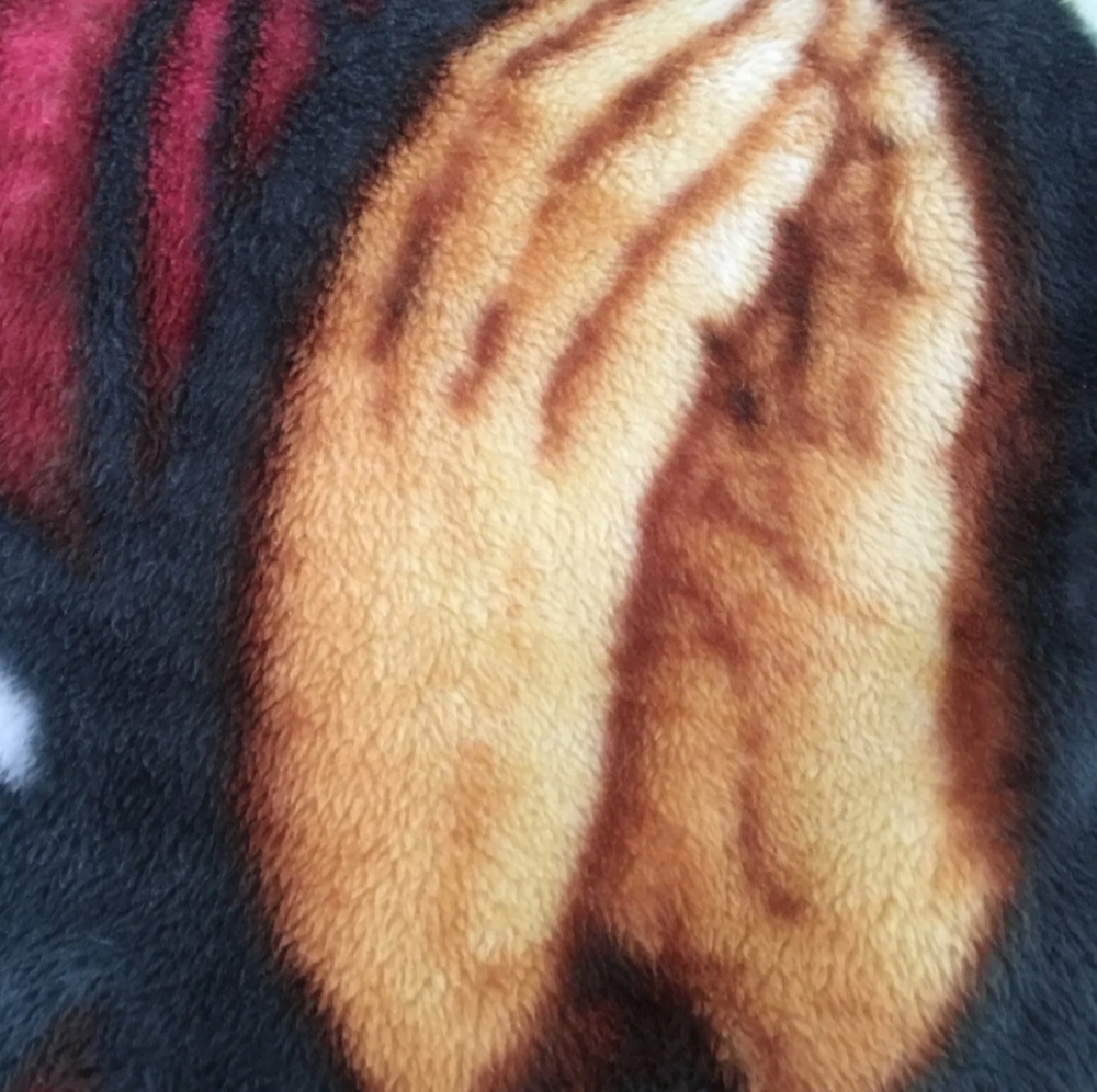 Lady of QuadrupleBlessed Virgin Mary50" x 60"Northwest HeartlandPlush Throw